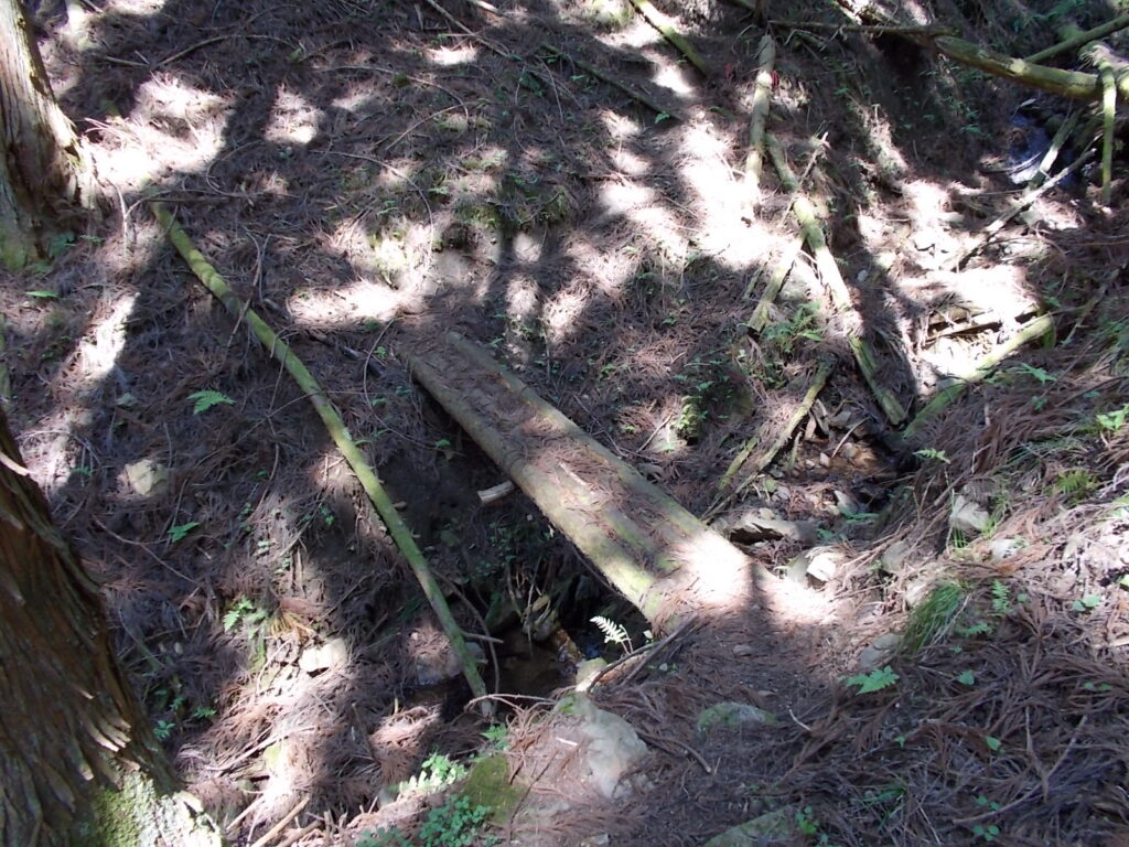 10：15　橋を渡ります。