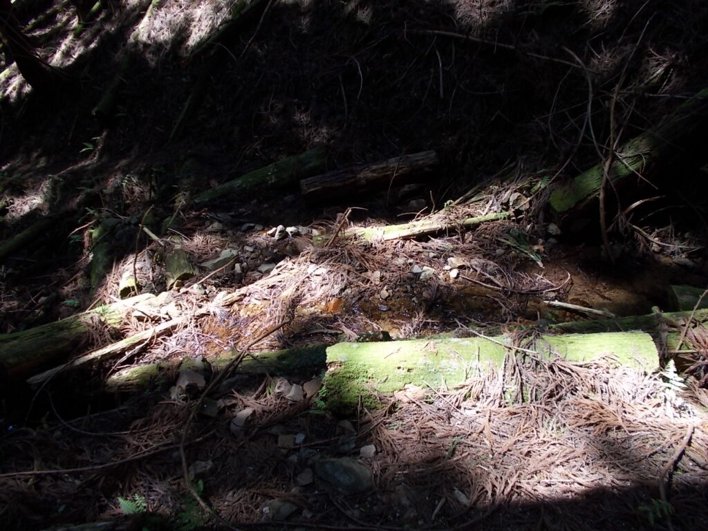 10：17　またまた沢を渡ります。ほとんど水はありません。