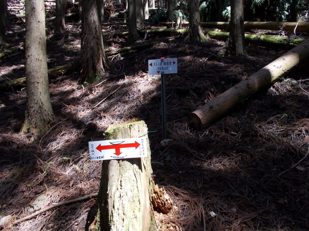 10：23　分岐の案内板です。モミジ谷へ行くので左へ進みます。