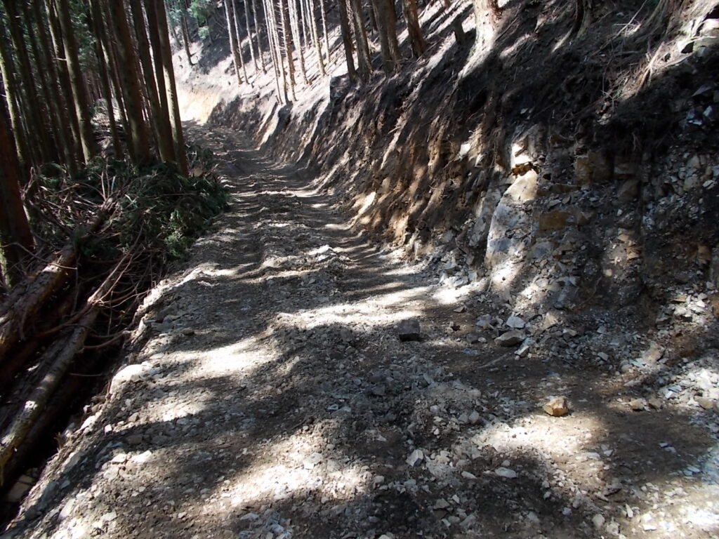 10：25　土砂に埋もれた登山道を登り切ると林道に出ました。説明書にはありません。