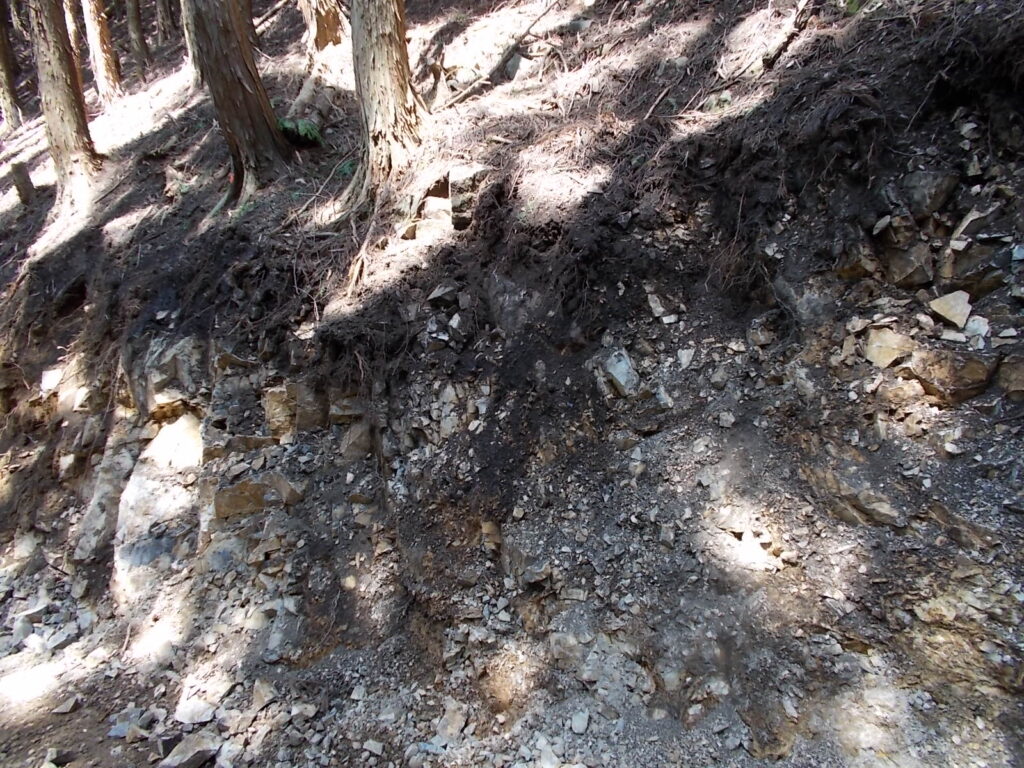 10：28　登山道はこの林道のため寸断されてしまっています。壁は2ｍほどあり、非常に崩れやすいので上れそうにありません。
