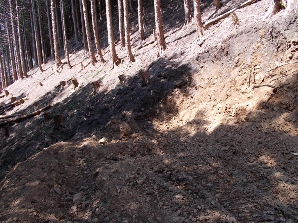 10：29　林道を左へ行くと、工事が途中で終わっており、ここから斜面に入っていけました。