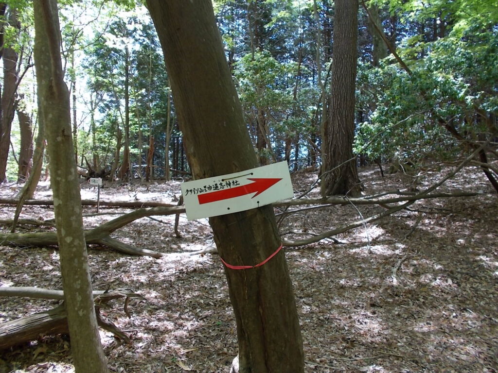 10：32　モミジ谷に向かって左へ行くとクサイソ山です。