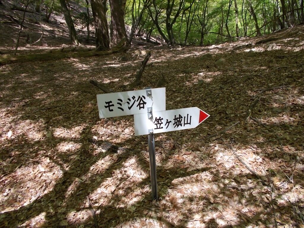 10：33　笠ヶ城山への案内板です。クサイソ山に寄ることにしました。