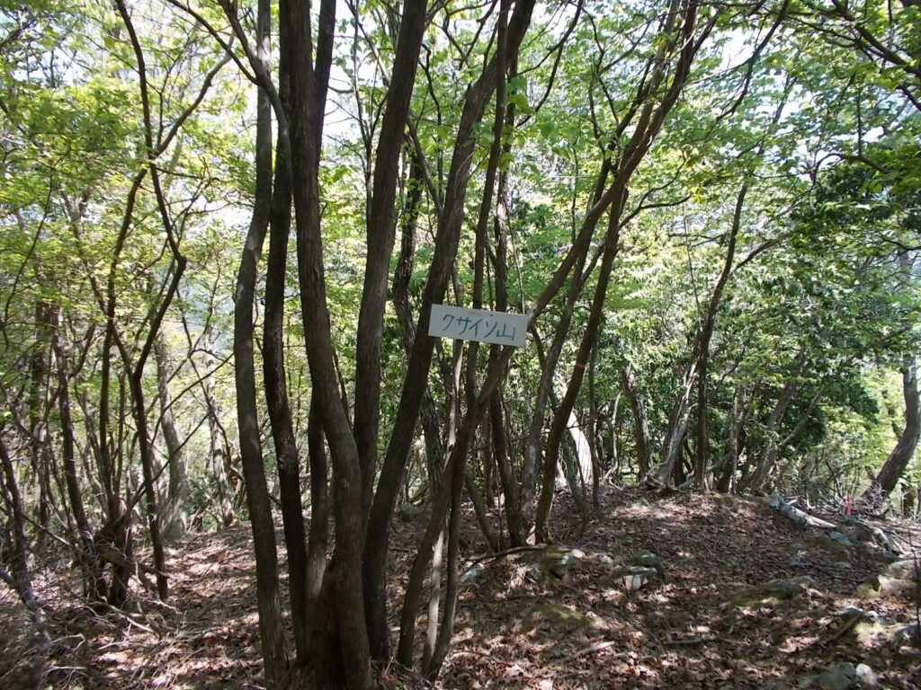 10：38　強烈な登りを登り切るとクサイソ山の頂上です。が、まったく面白くないのですぐに下山します。