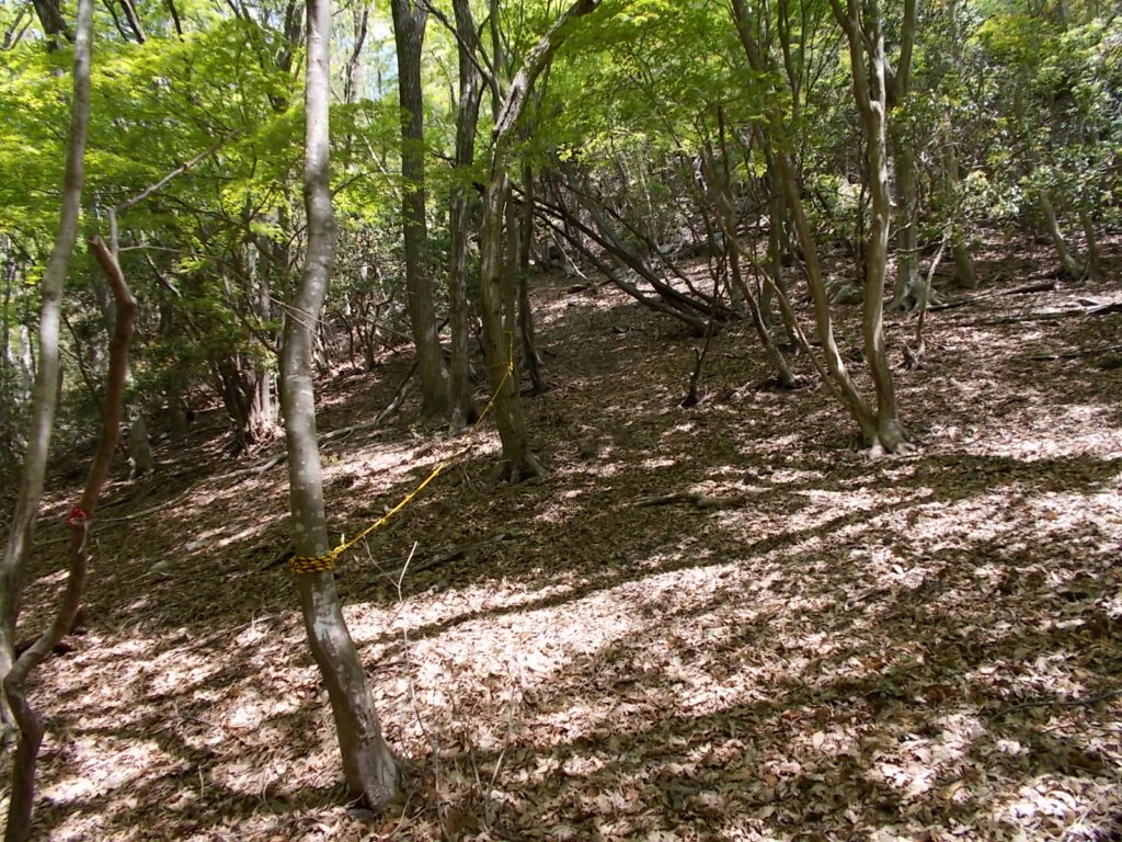 10：45　ここからはかなり急な登りになるらしくロープが張られています。