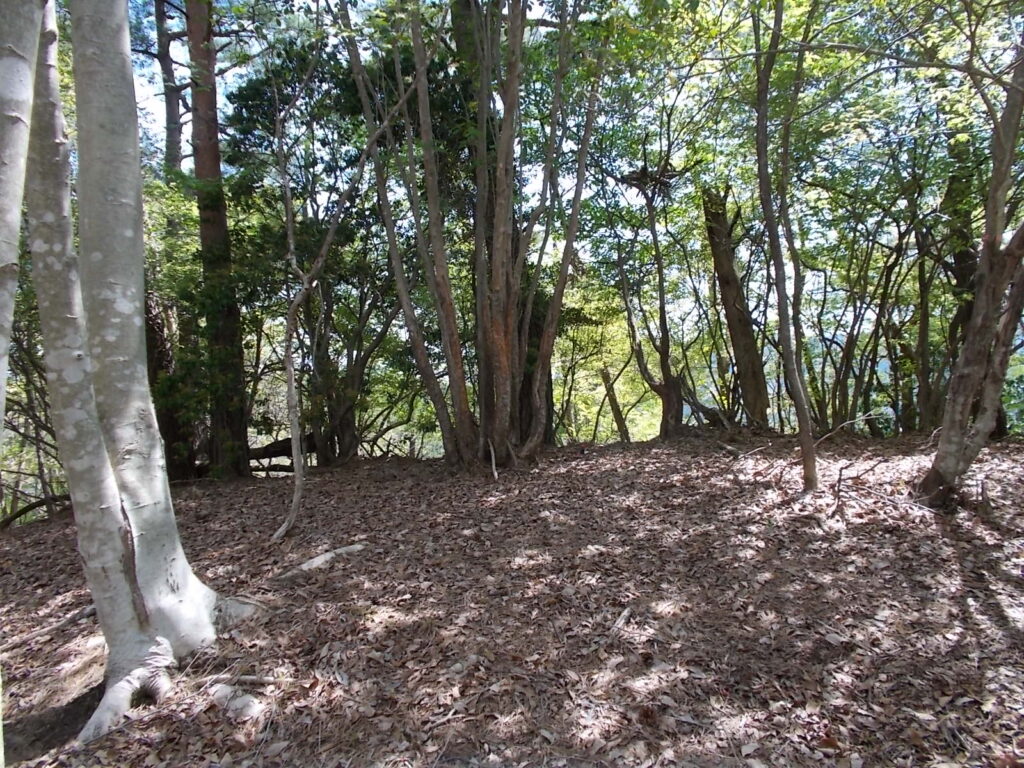 10：51　急坂を登り切ったところのピークです。