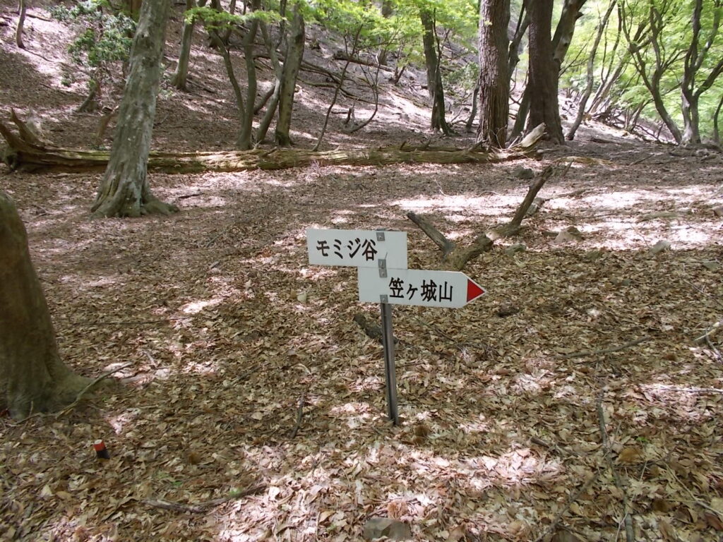 12：24　今日3度目のモミジ谷