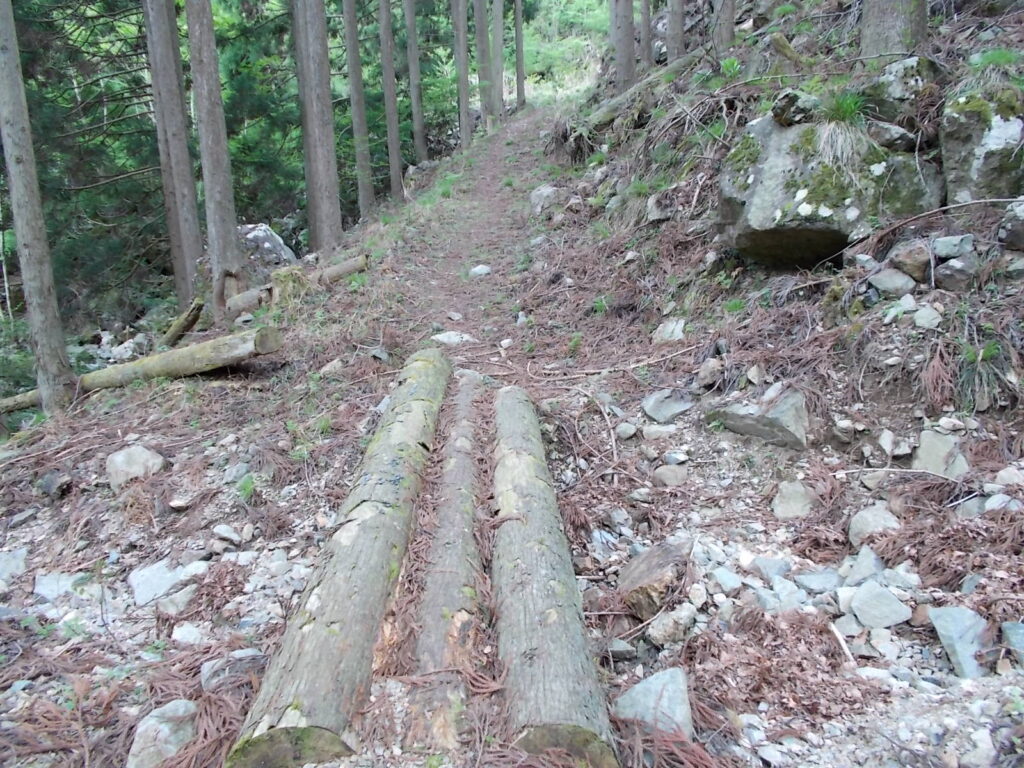 10：09　丸木の橋を渡ります。