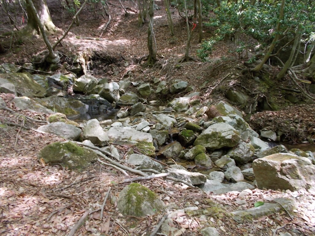 10：31　案内の通り、川を渡ります。