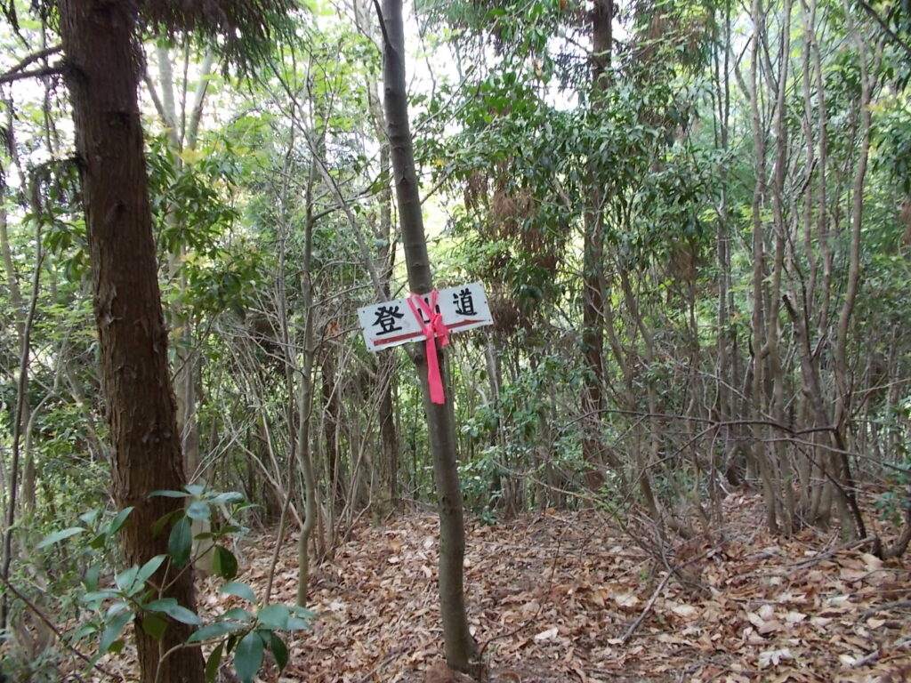 10：38　登山道の案内板。このピンクのテープが目印です。