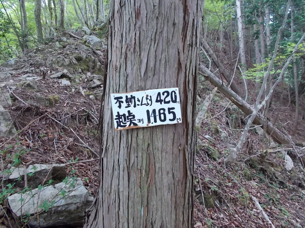 10：45　登山口より1165ｍ地点。