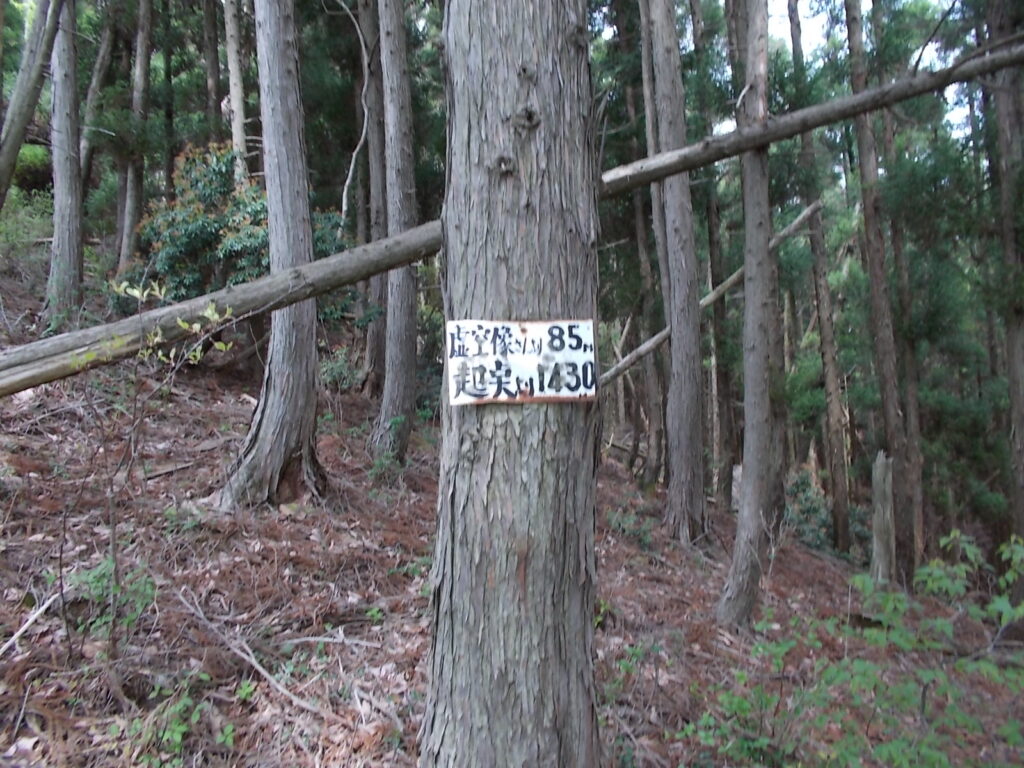 10：54　登山口より1430ｍ地点