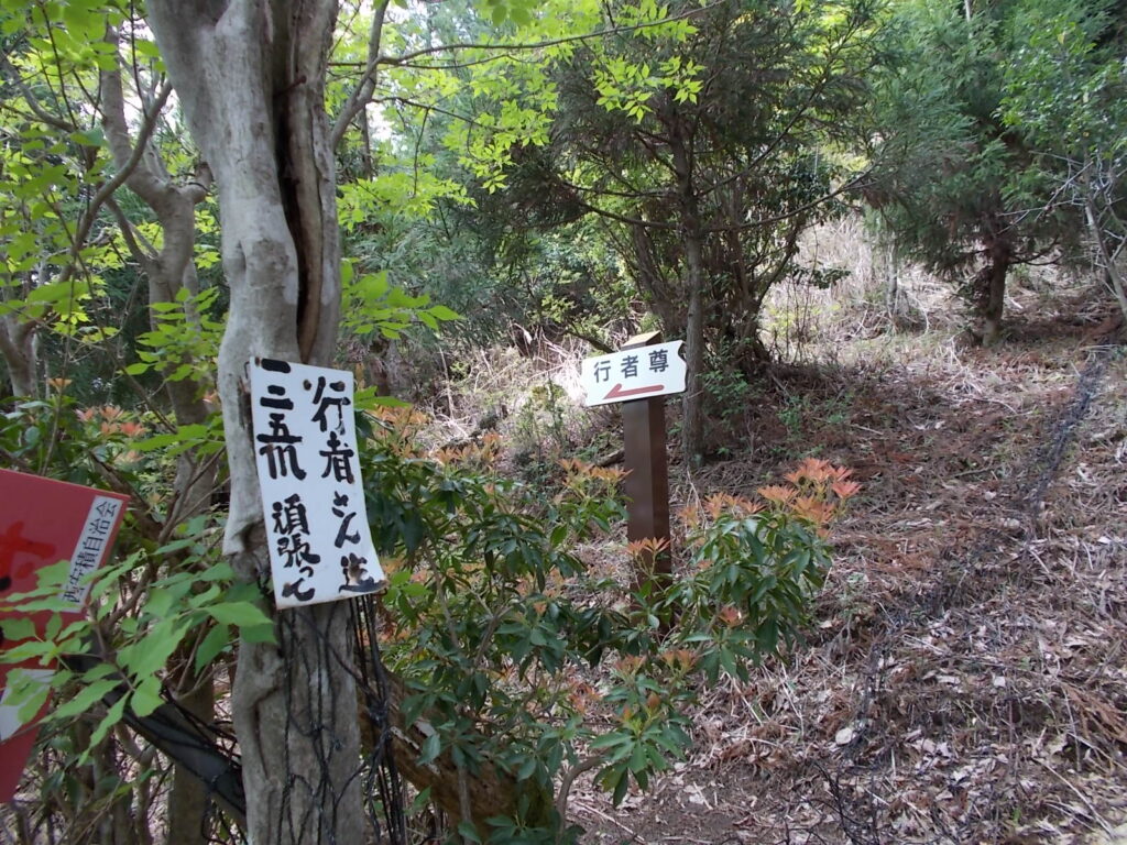 10：54　すぐに行者尊への分岐。ここを左へ。125ｍでつくそうです。