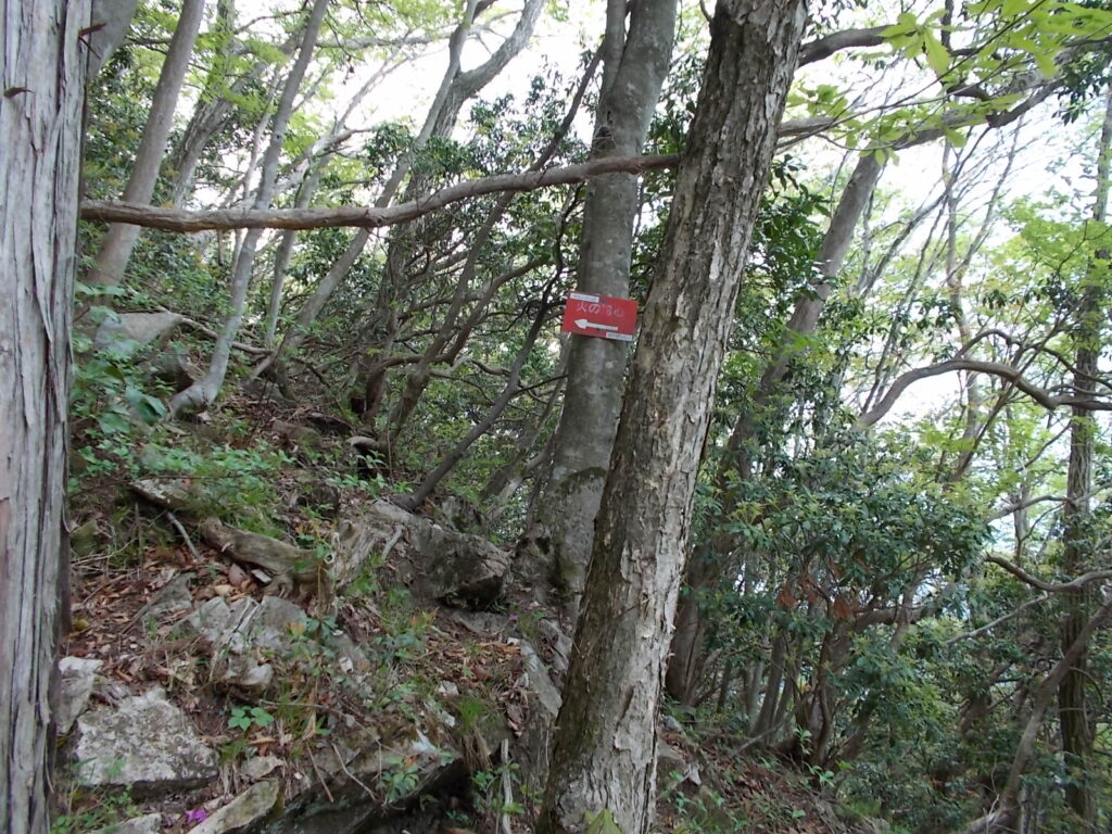 10：58　山頂へは分岐まで戻らずに、この急斜面を登っていきます。