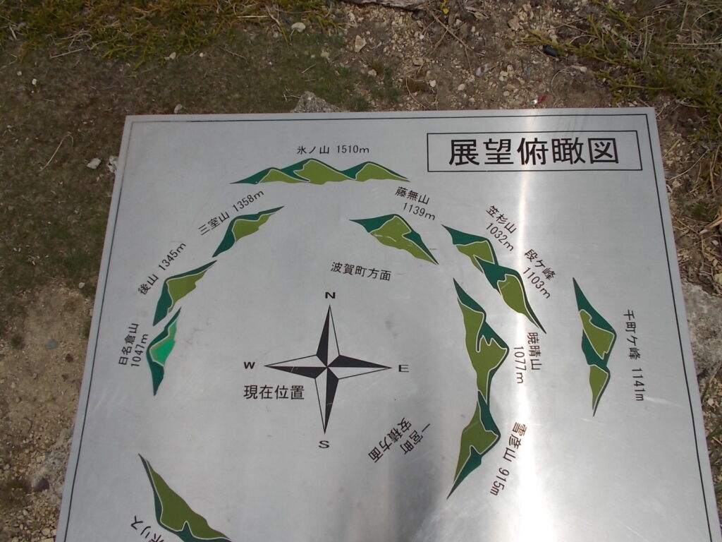 11：06　良いお天気の日だとたくさん見えるようですが、今日はあいにくでした。