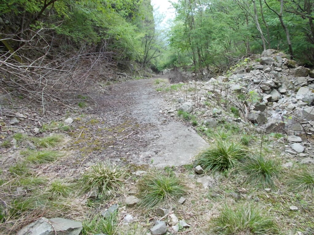 12：01　しばらく行くと林道に出ます。