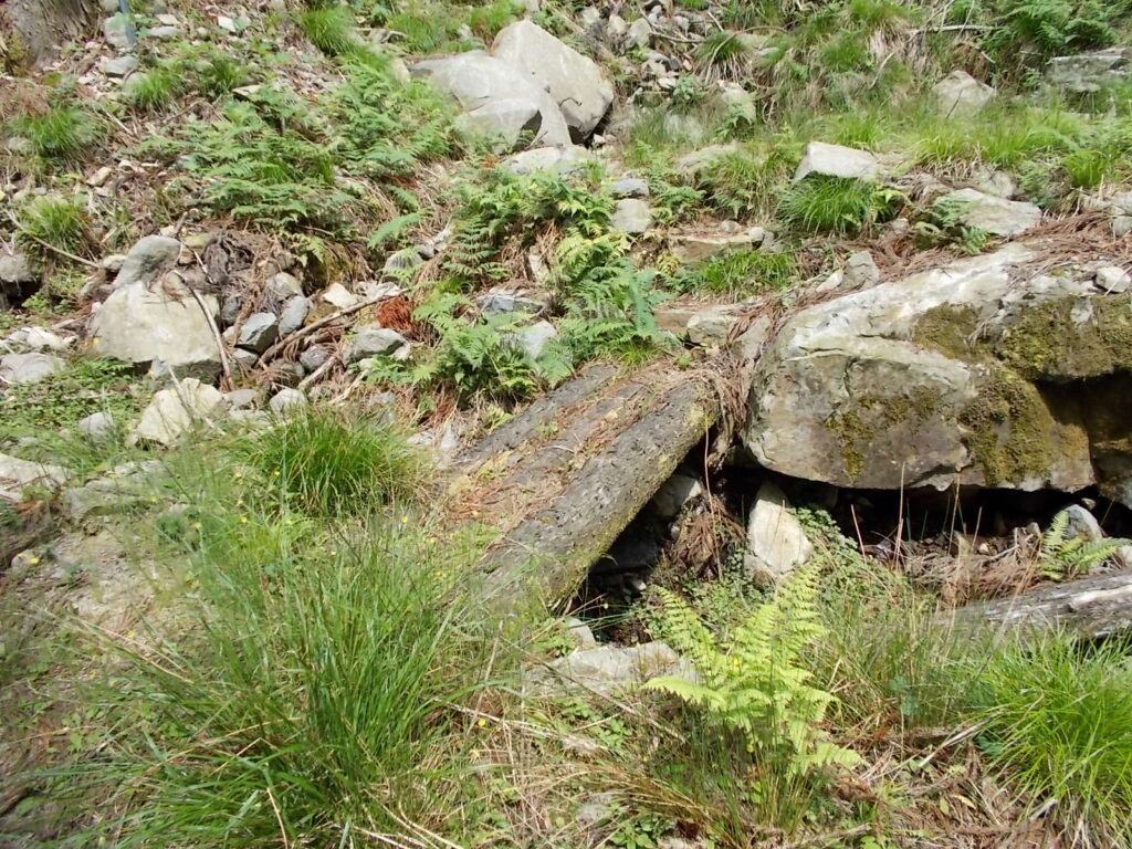 10：16　すぐに丸木橋を渡ります。