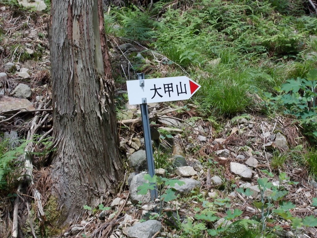 10：16　案内板。たくさんあるので安心です。下りのお滝さんルートは、かなり少なく、赤テープが頼りになります。