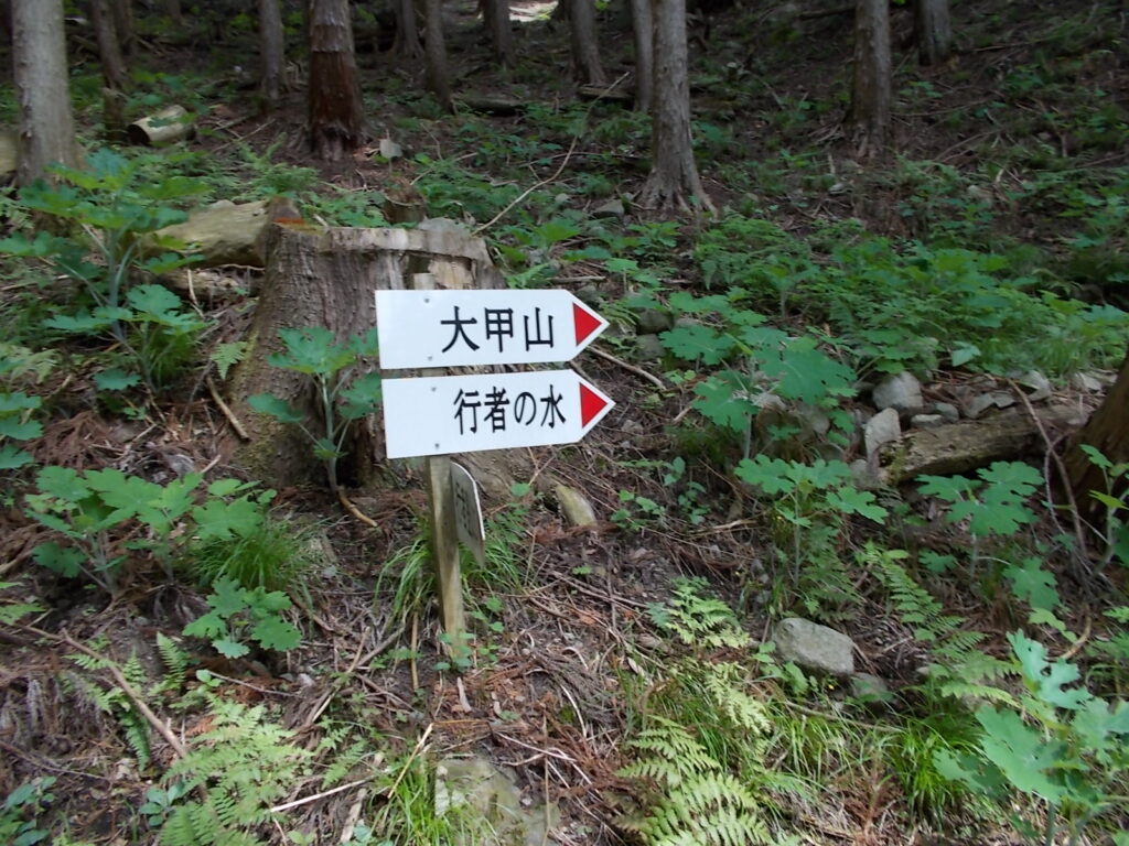 10：17　次の案内板。