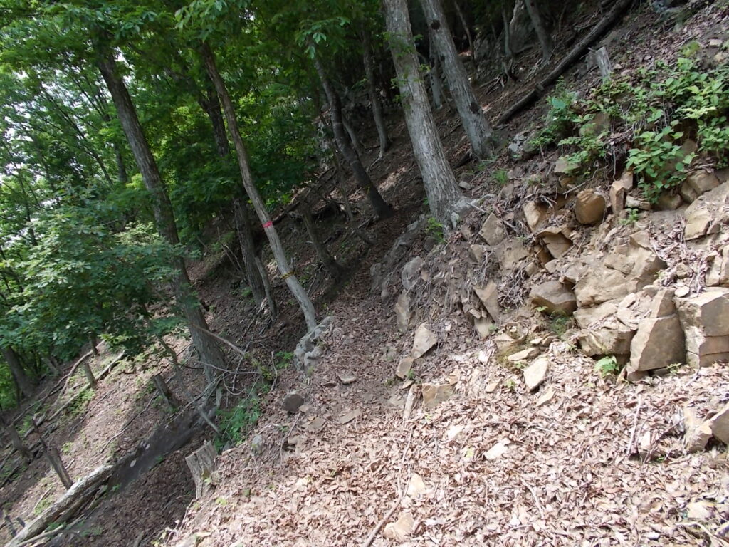10：31　崖崩れの場所からすぐに、山道になります。