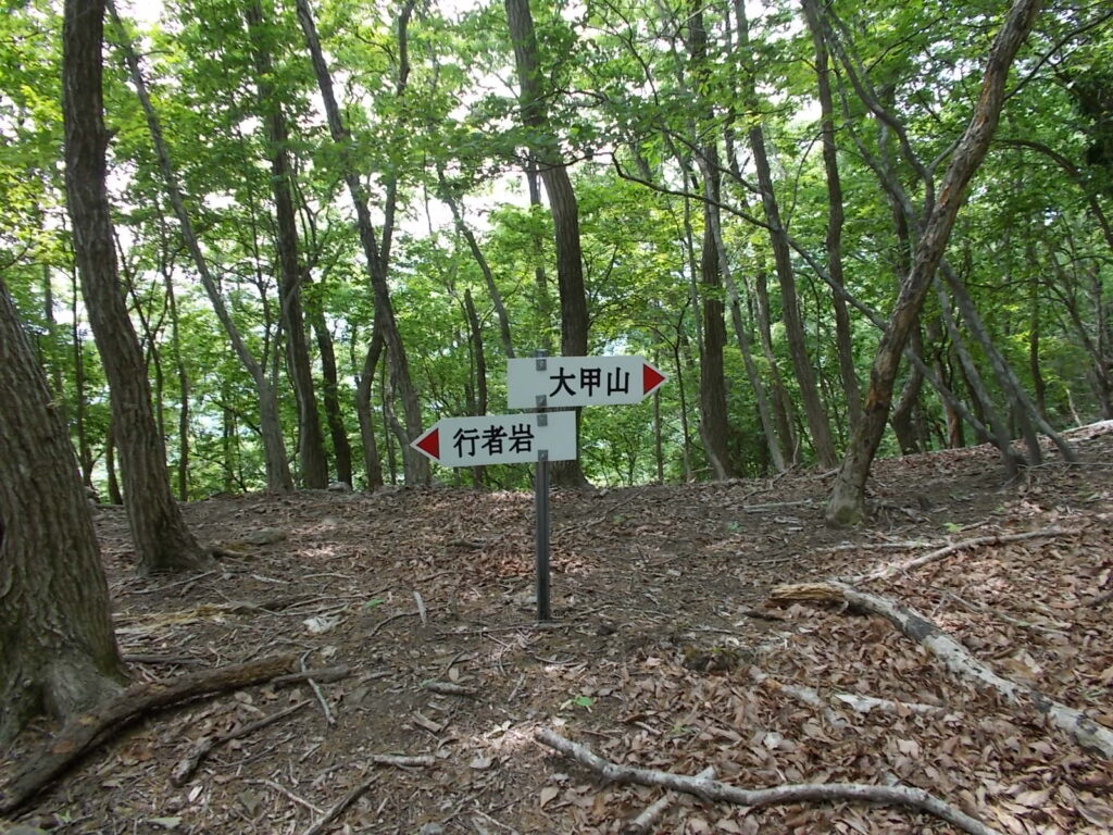 10：37　すぐに行者岩への分岐がある尾根に出ます。とりあえず行者岩へ。