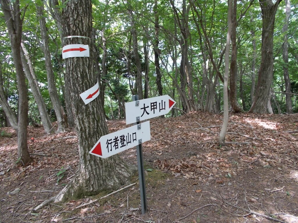 10：39　再び分岐まで戻り、大甲山へ。