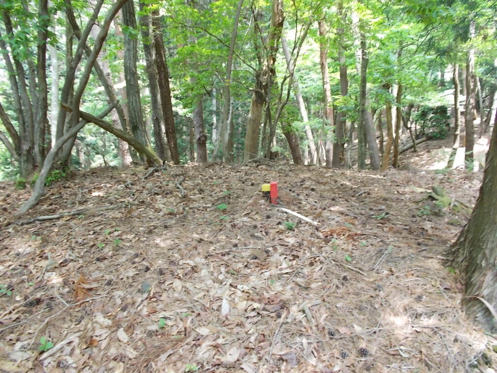 10：45　行者岩からの最初のピーク。このあと３，４つピークがあります。