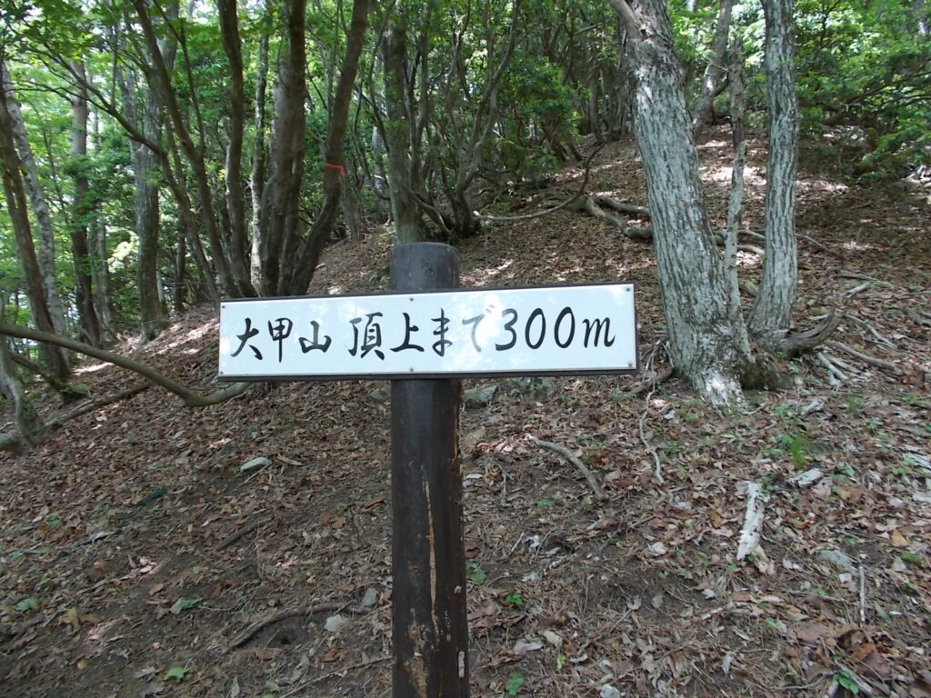 10：55　けっこうあるいて、あと300ｍの案内板。ここまではかなりきついです。ただ登るだけです。