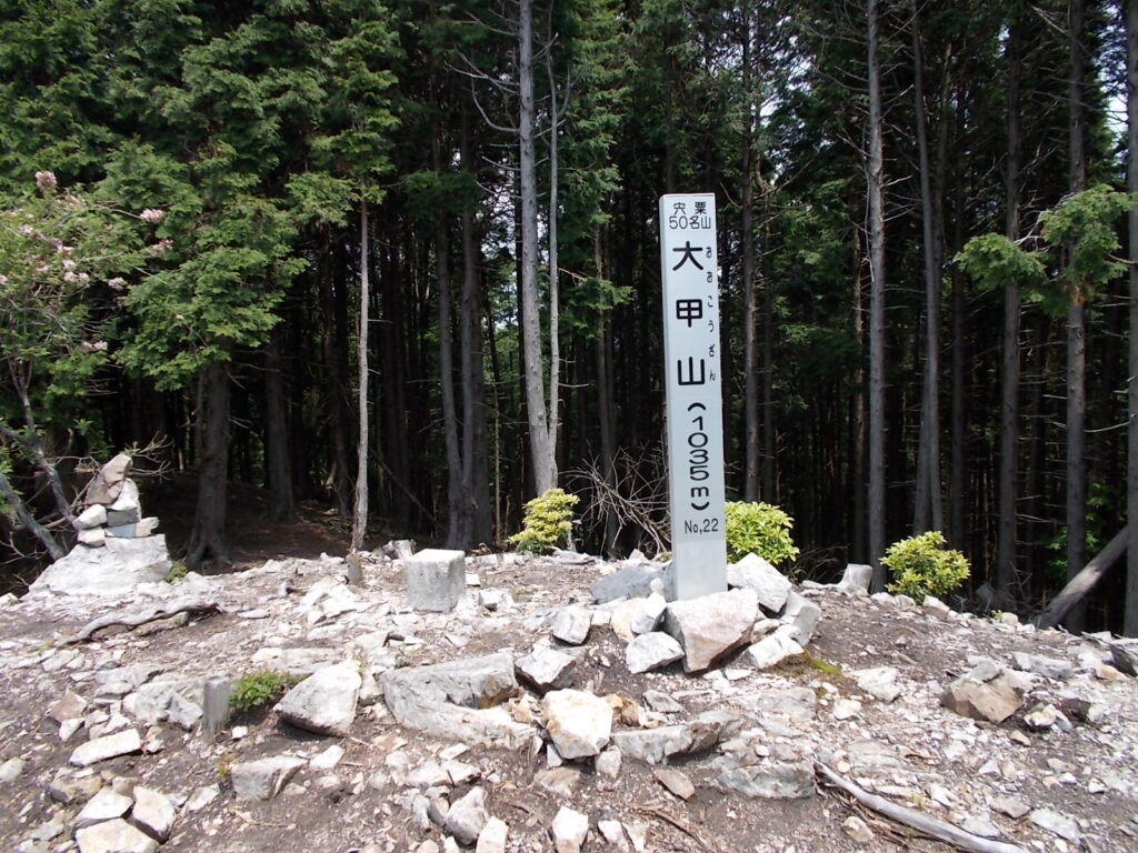 11：01　大甲山山頂の標柱です。まだお昼には早いので、荒尾山へ行くことにしました。