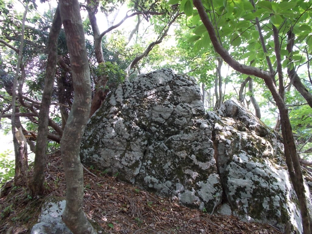 11：09　稜線途中にある大きな岩のピーク。