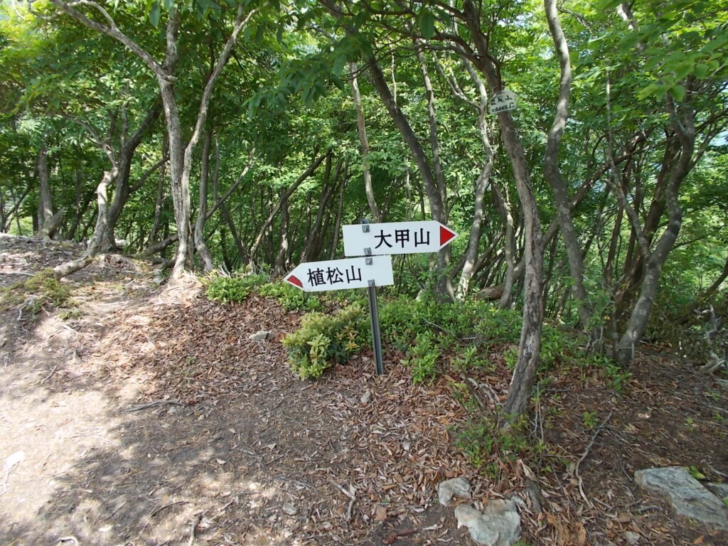 11：20　植松山への案内板。ここから植松山へは1時間以上かかるようです。体力と時間に余裕のある方はチャレンジしてみてください。そのうち行ってみたいと思います。
