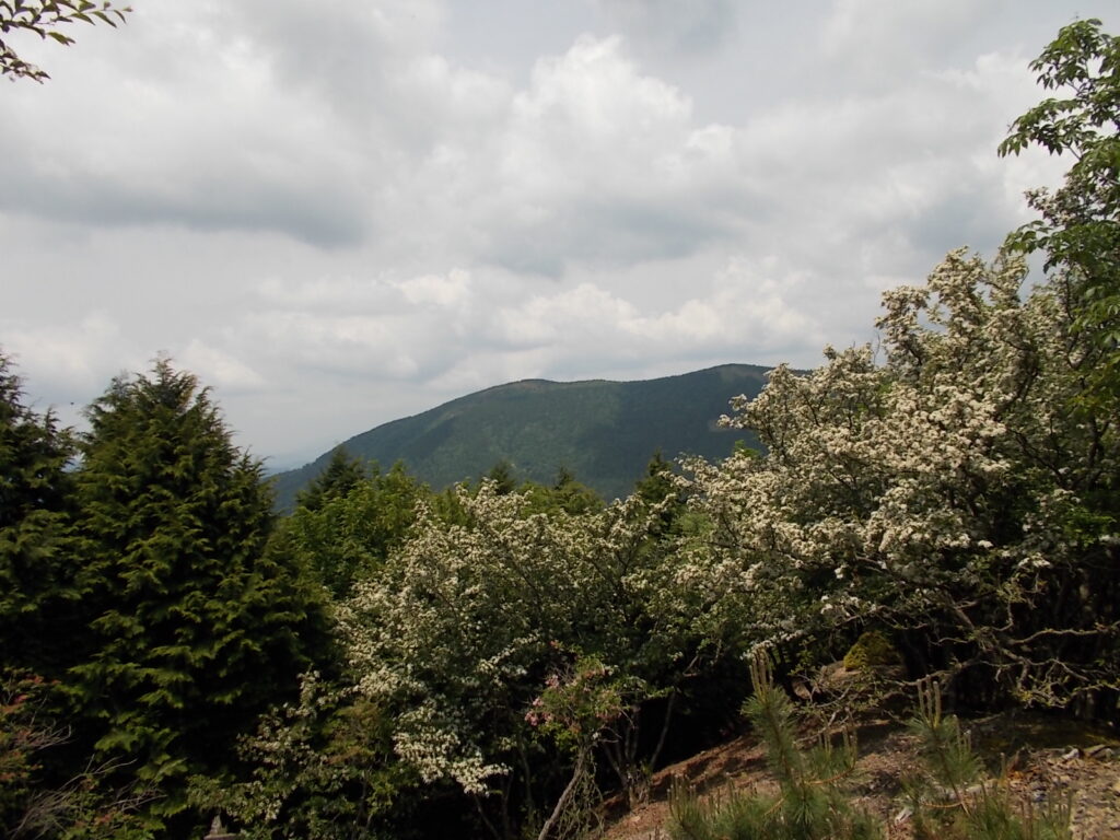 11：20　唯一見える植松山。