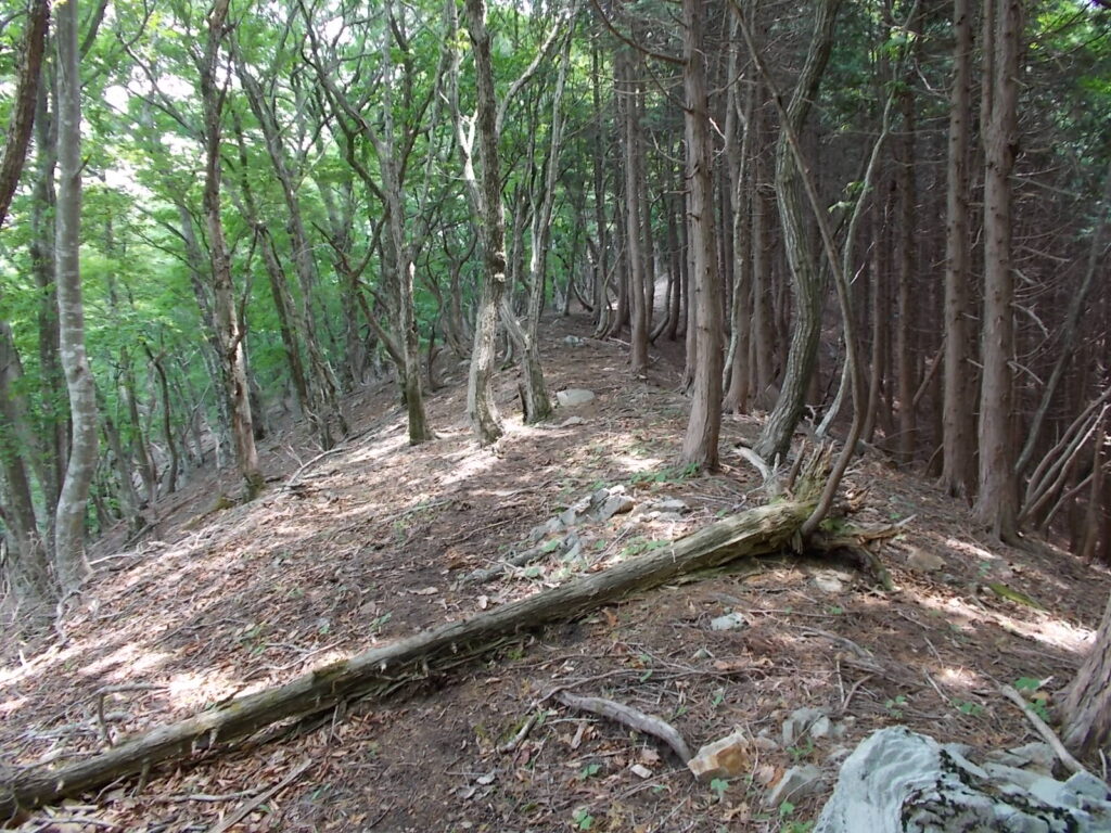 10：34　大体こんな感じが続きます。さすがに1,000ｍの空中回廊。涼しい風が気持ちいいですが、周りが見えないのがちょっとさみしい。