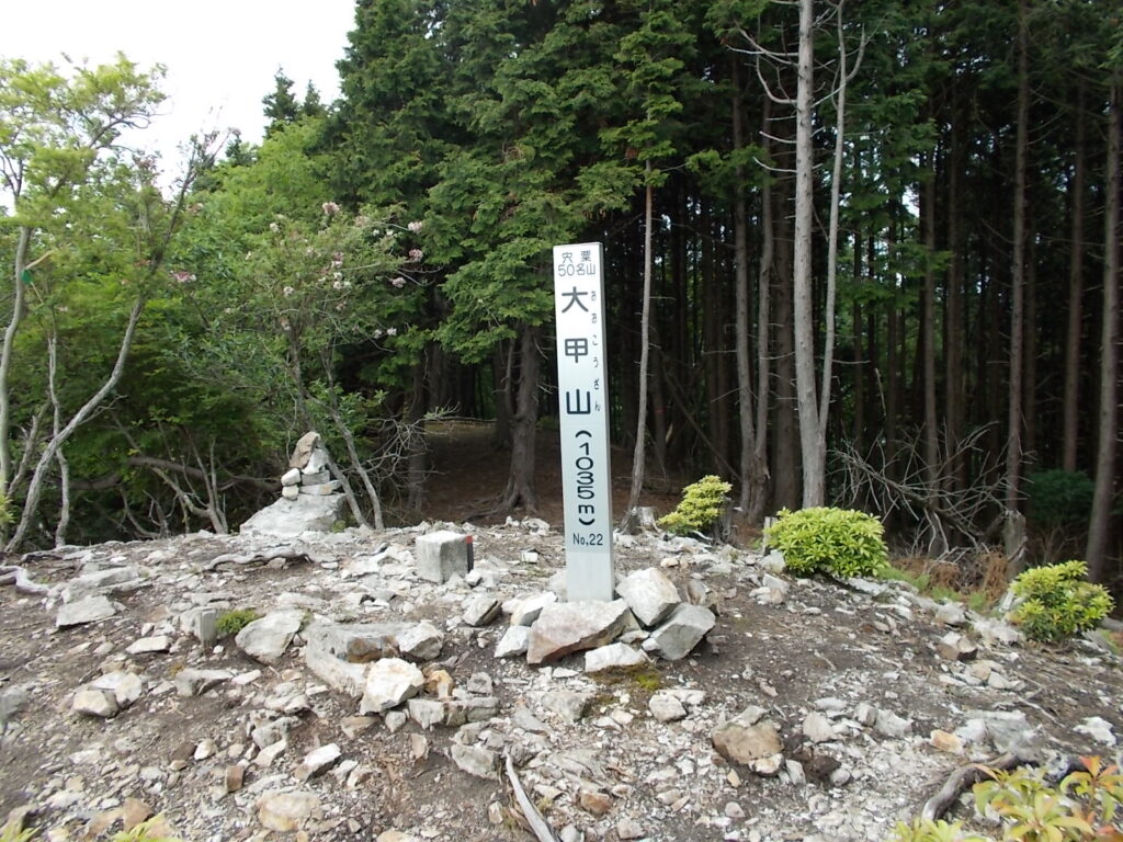 11：35　大甲山に戻りました。ここからは南方面がよく見えます。