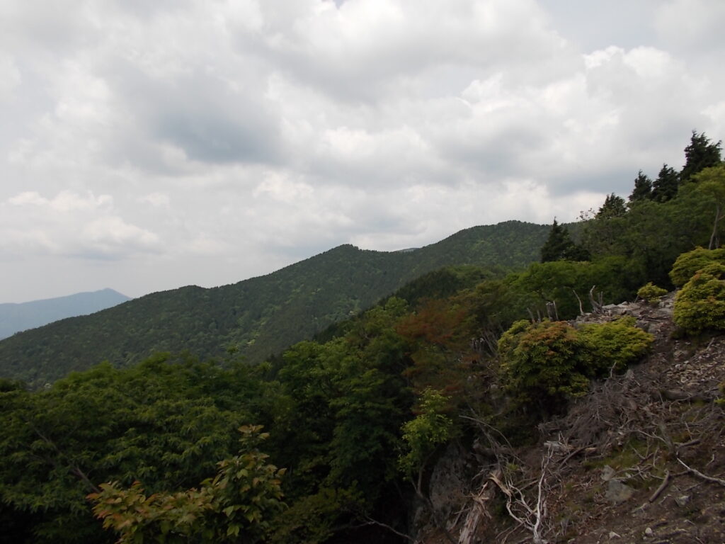 11：36　大甲山から見た荒尾山（中央のピーク）