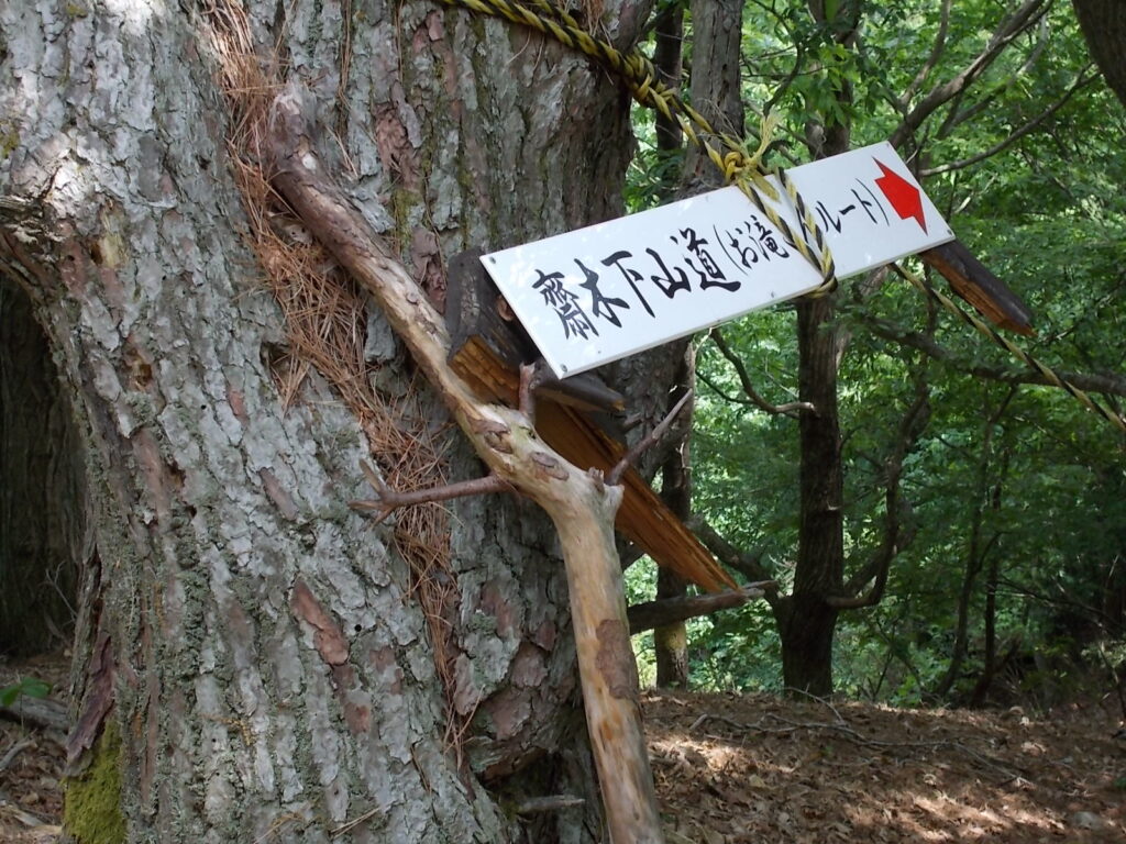 12：19　けっこう歩いて、斉木へ分岐。ここからはかなりの急斜面(ロープ場)が続きます。