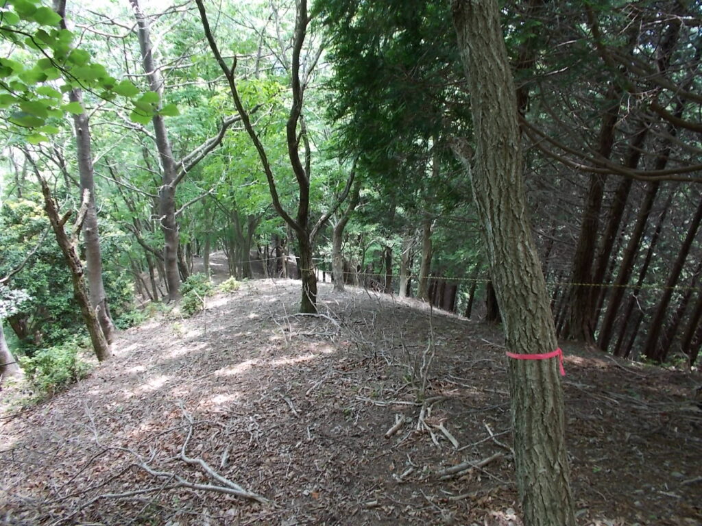 12：25　延々と続くロープ場。けっこうくたびれます。