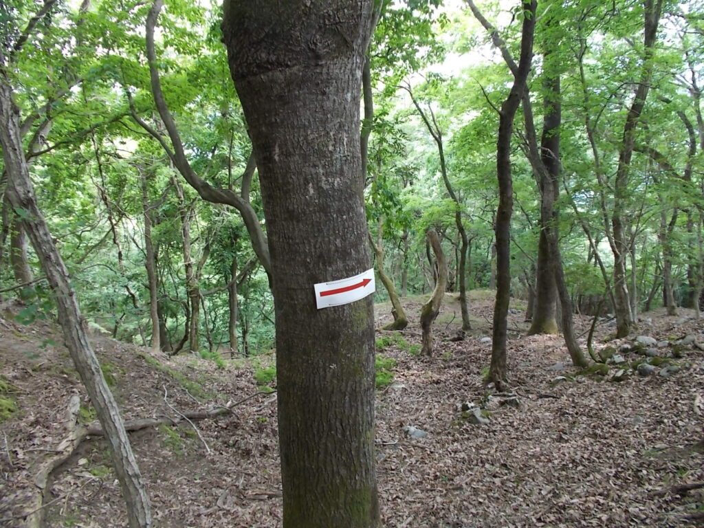 12：39　矢印の案内板。
時々ゆるやかな斜面にでます。