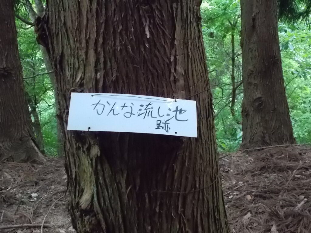 10：42　いいかげん急斜面に飽きてきたら、小さな窪地に出ました。かんな流し池跡だそうです。