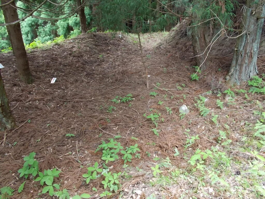 10：42　たしかに池っぽい窪みでした。が、水はまったくありません。