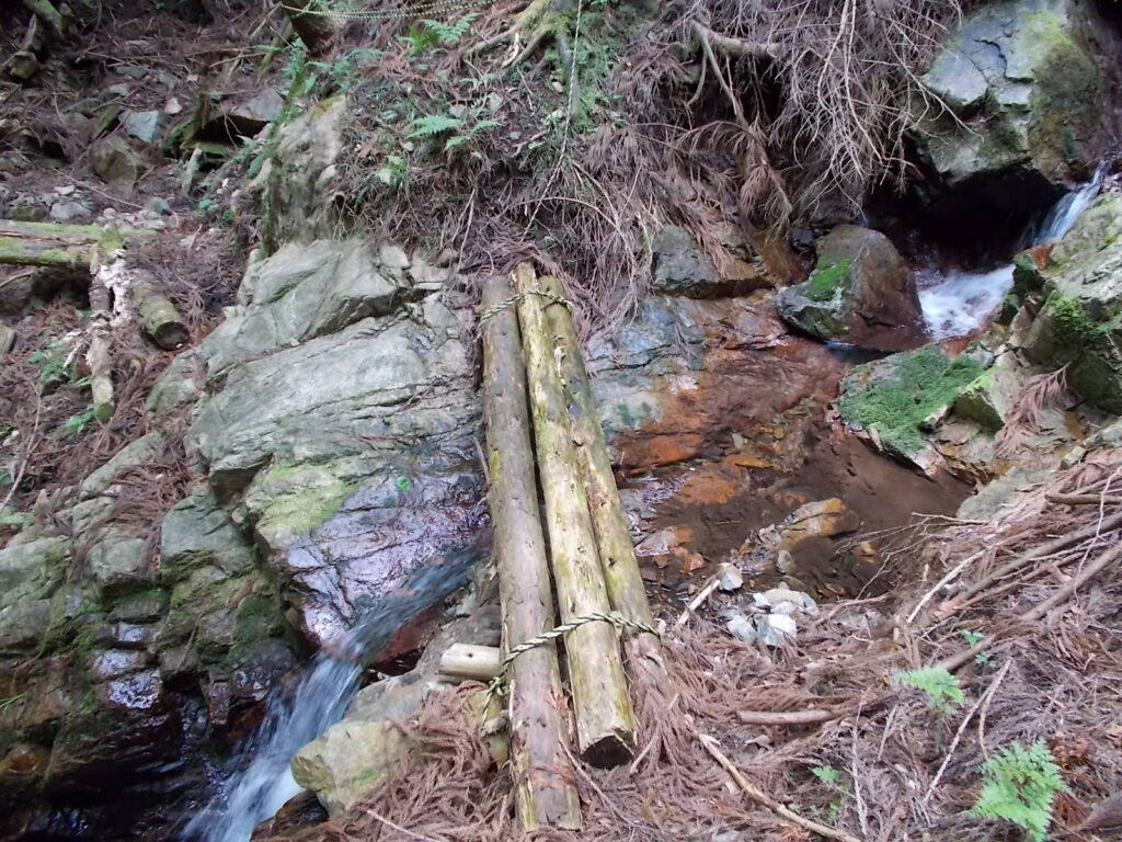 12：50　小さな沢にかかる丸木橋を渡ります。なんだかヒルがいそうな気がして気持ち悪いです。ここからは、山を迂回するように進みます。