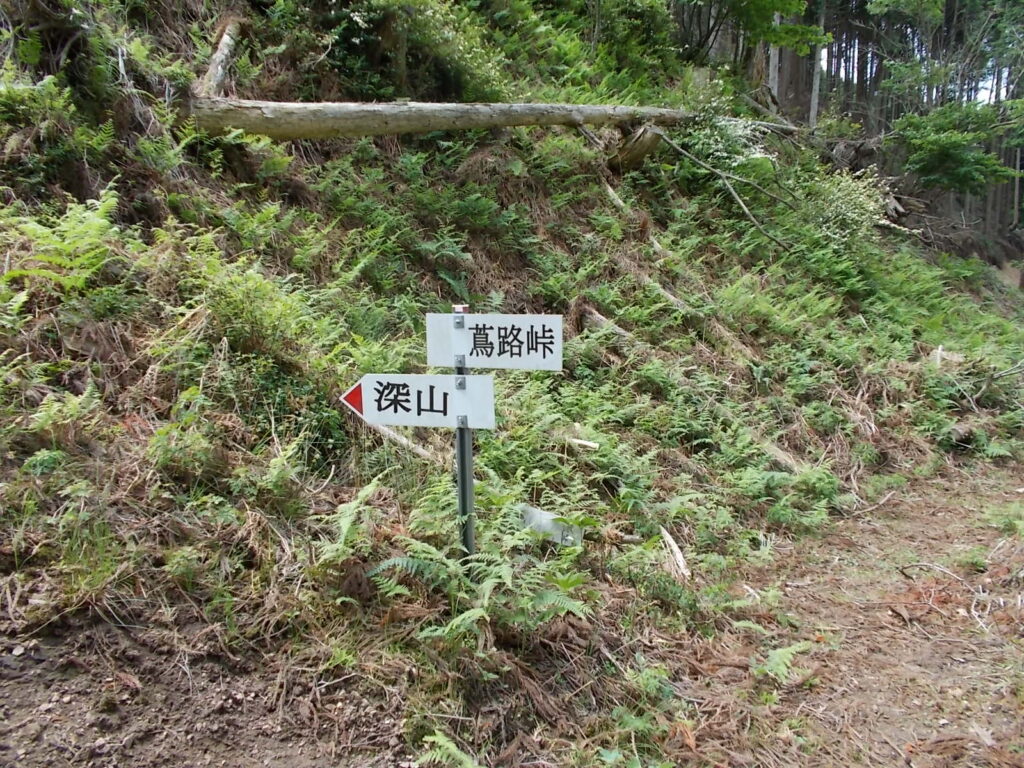 10:07 川底のような登山道を上りきると蔦路峠に出ます。この少し手前に分岐があって、右に行くとこちらの蔦路峠、左は別ルートになるようです。