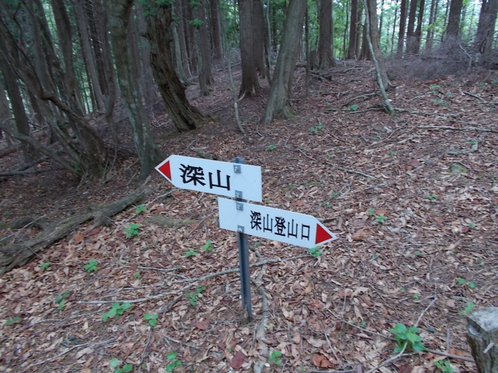10:28 深山への案内板。距離は短いし、わかりやすい道中なので迷うことはないでしょう。