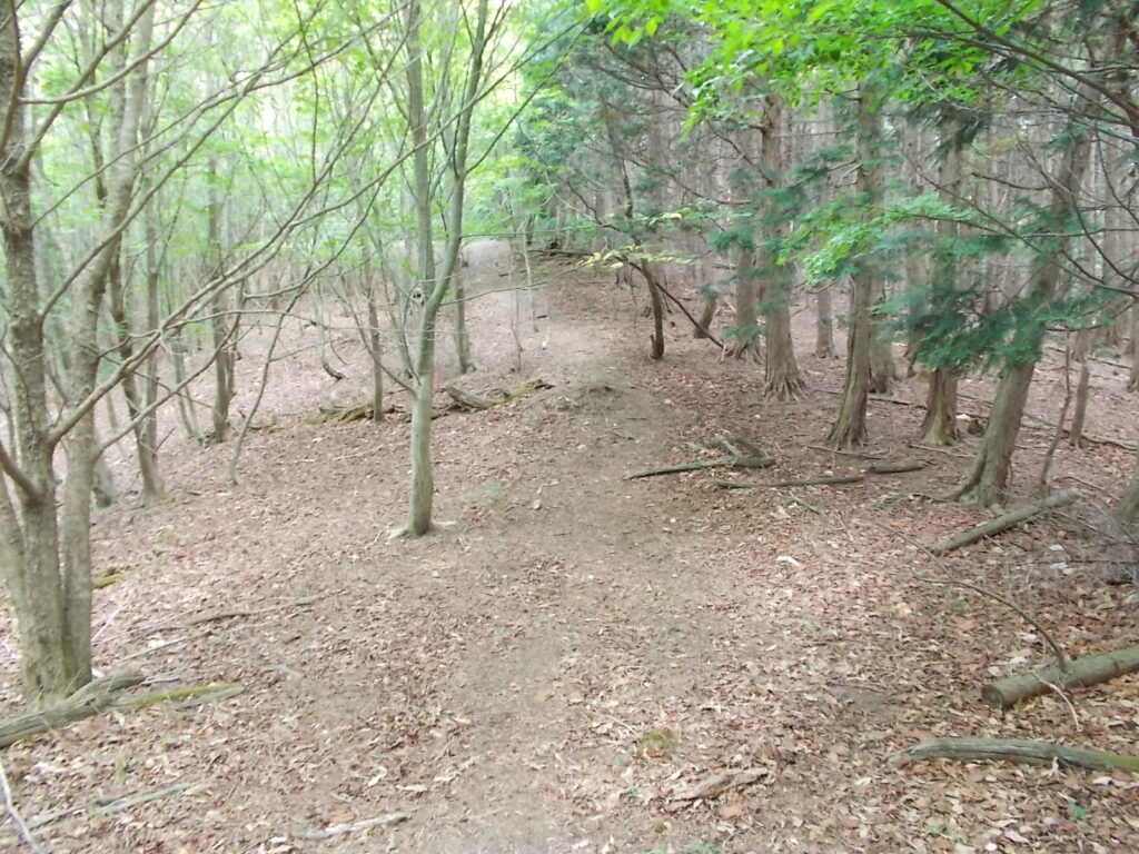 10:28 歩きやすい尾根の路。