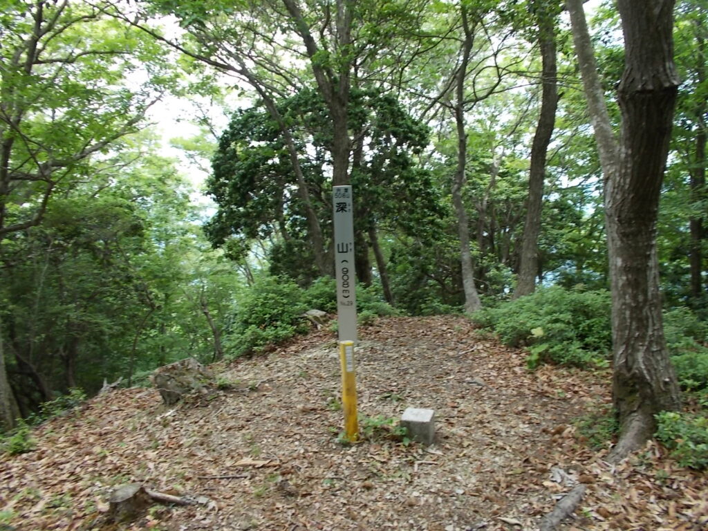10:32 深山山頂の標柱。見晴らしが悪いのですぐに南深山へ。