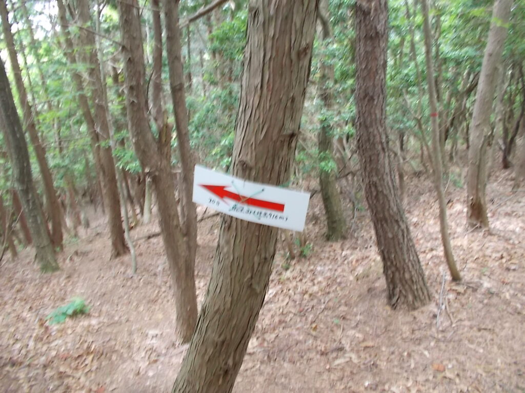 10:33 南深山への分岐に戻って左折。