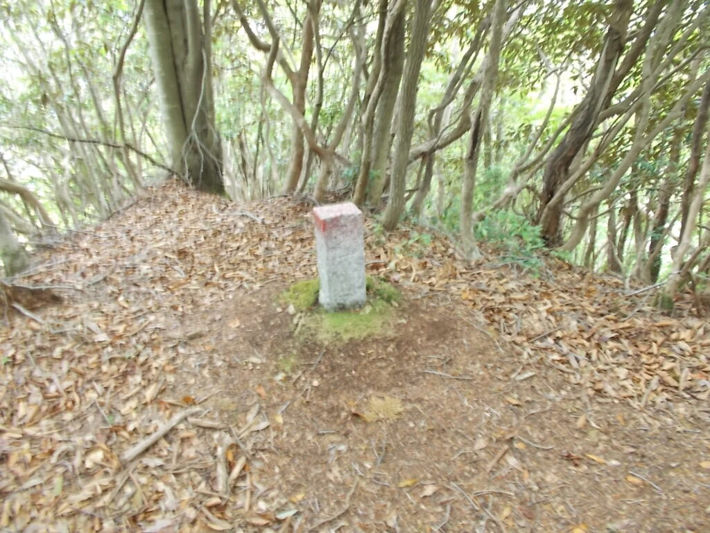 10:35 次のピークにある石柱。境界柱のようです。