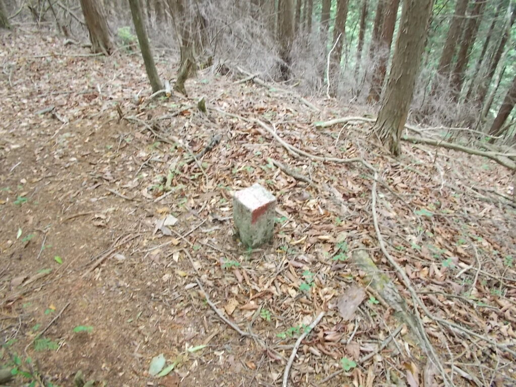 10:36 次のピークにもある境界柱。これをはずさなければ問題ないでしょう。