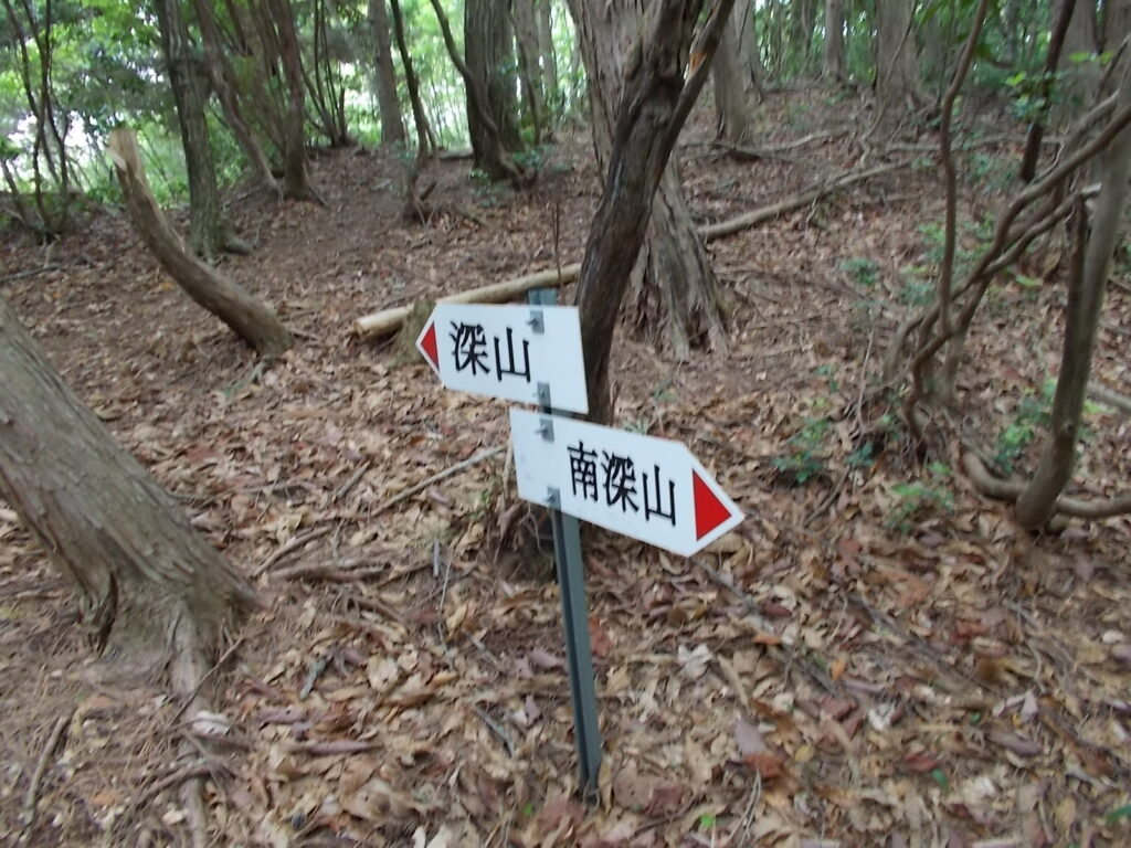 10:57 南深山への分岐に戻りました。展望ピークへ。